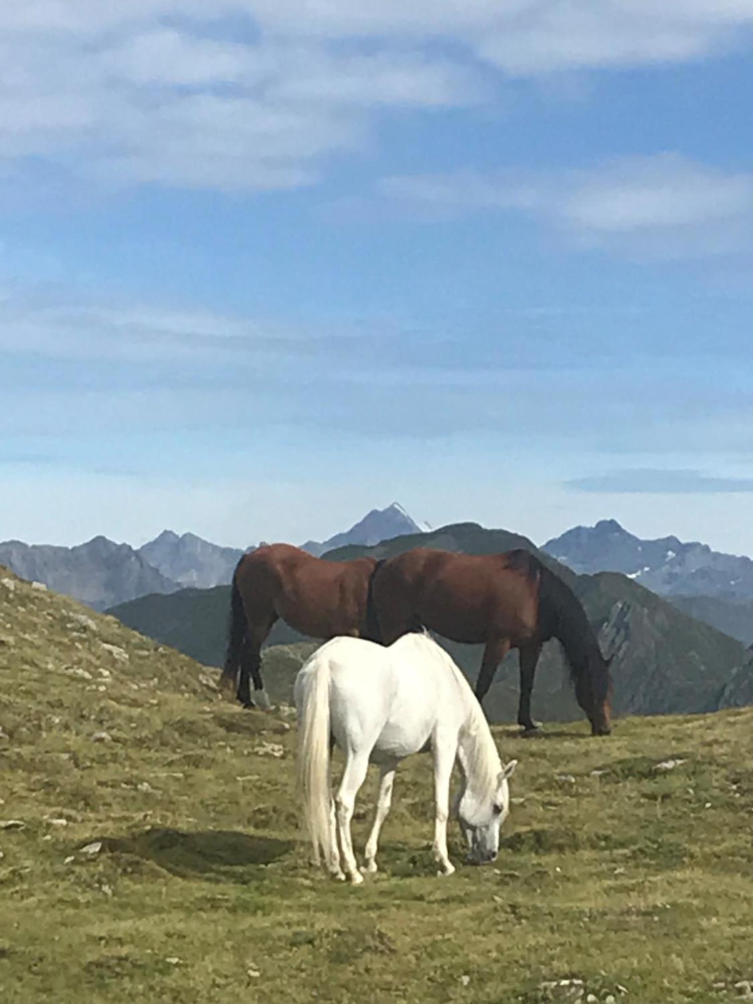 Appartement Stauden Innervillgraten Esterno foto