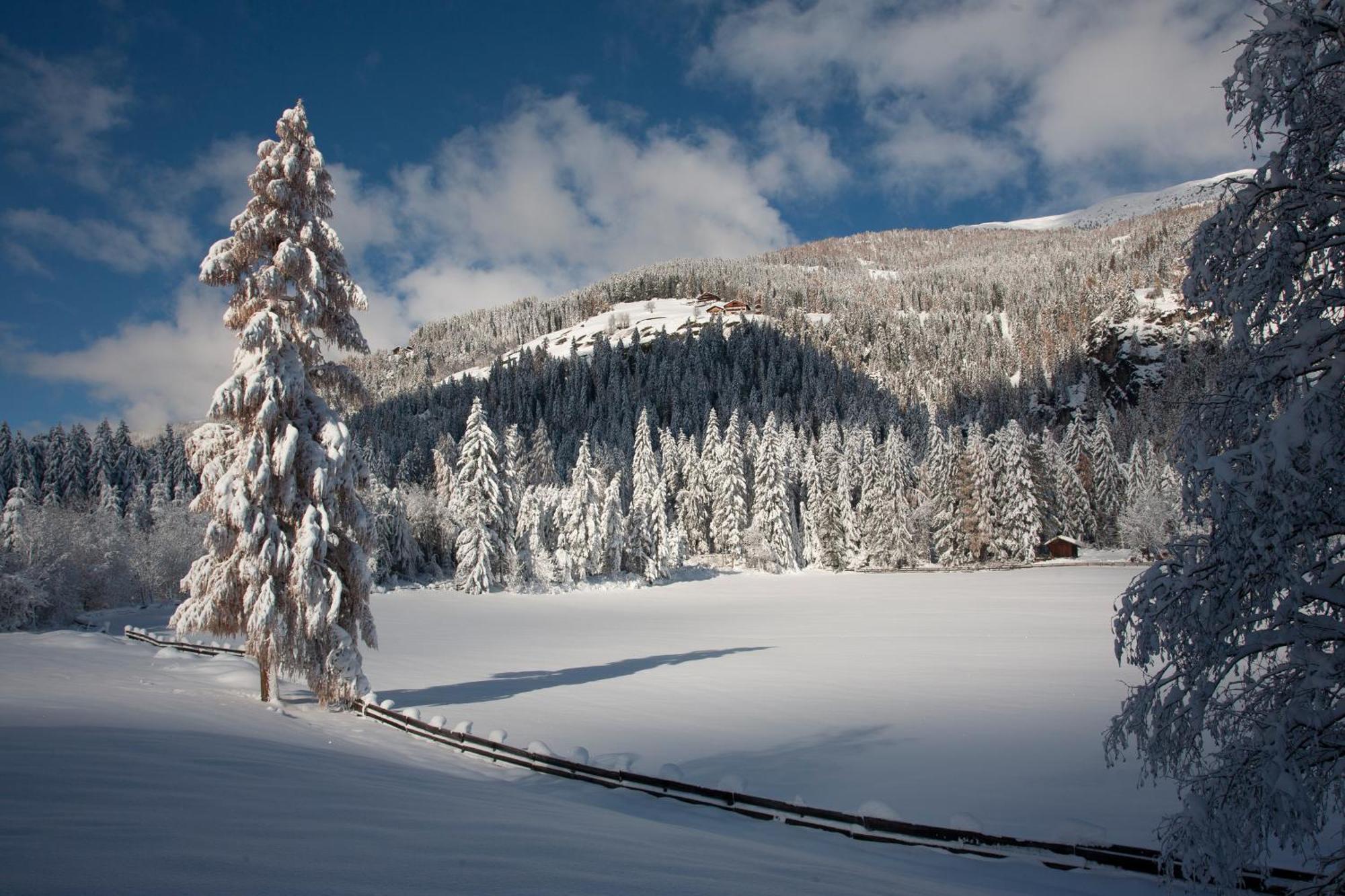 Appartement Stauden Innervillgraten Esterno foto
